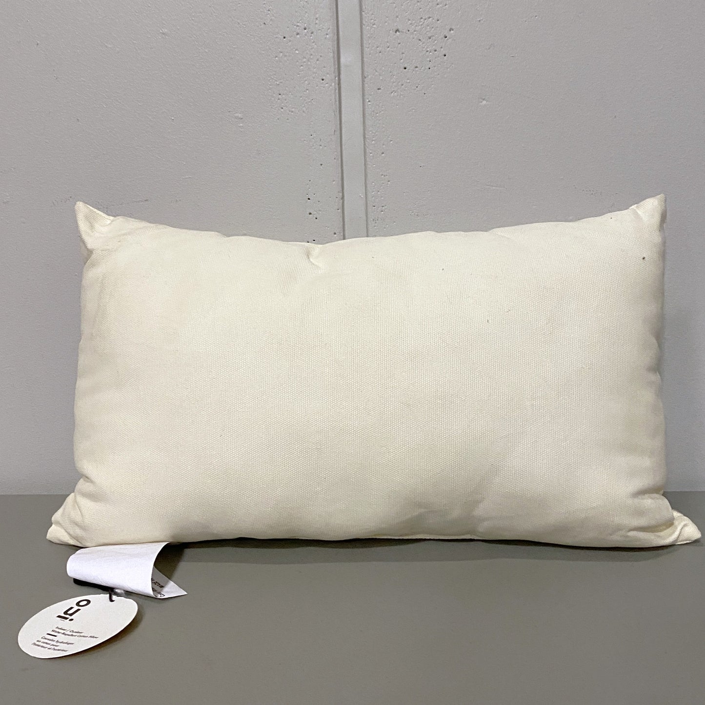 Indoor/Outdoor Throw Pillow