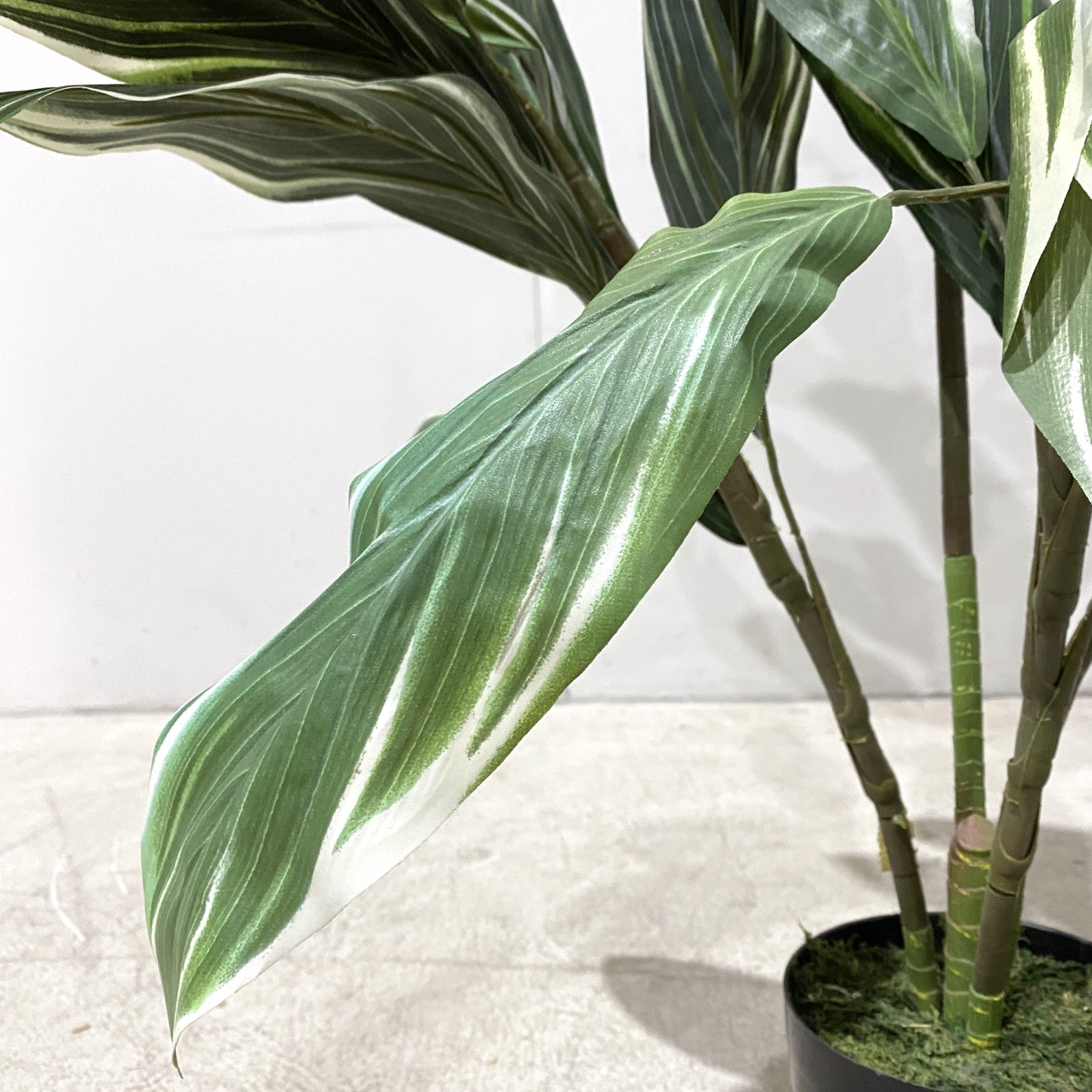 Artificial Cordyline Plant