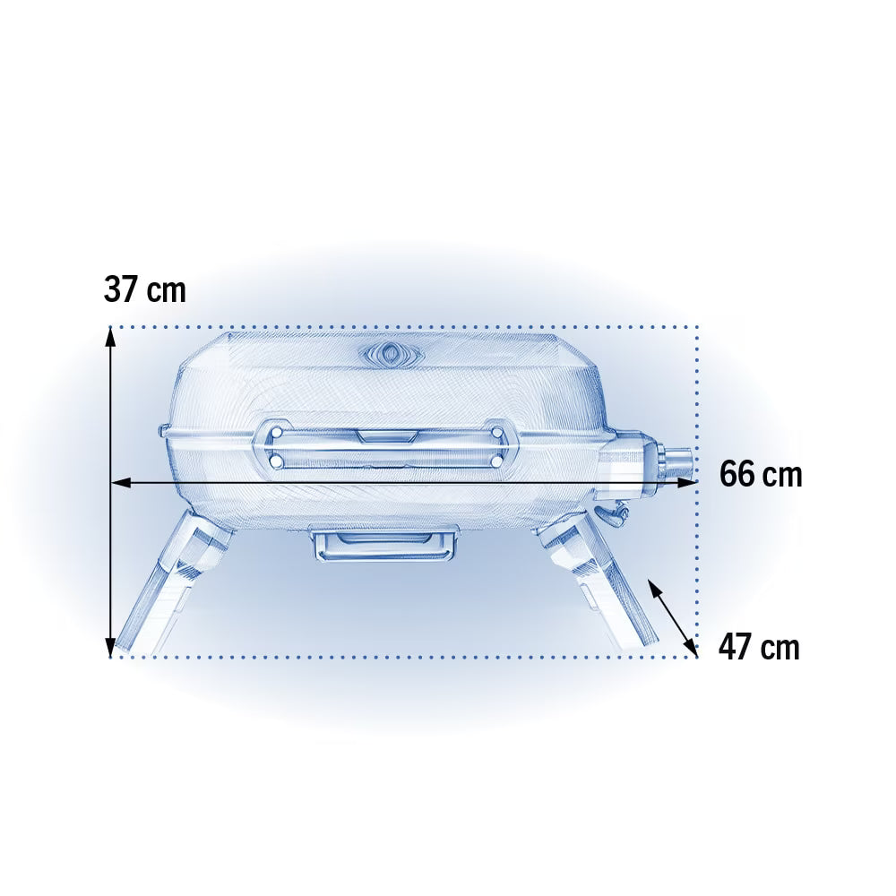 Portable Gas Grill