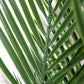 5ft Fake Palm Tree