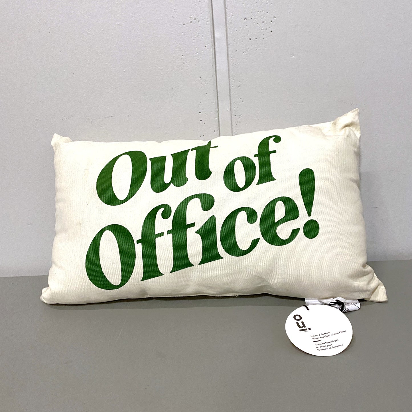 Indoor/Outdoor Throw Pillow