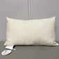 Indoor/Outdoor Throw Pillow