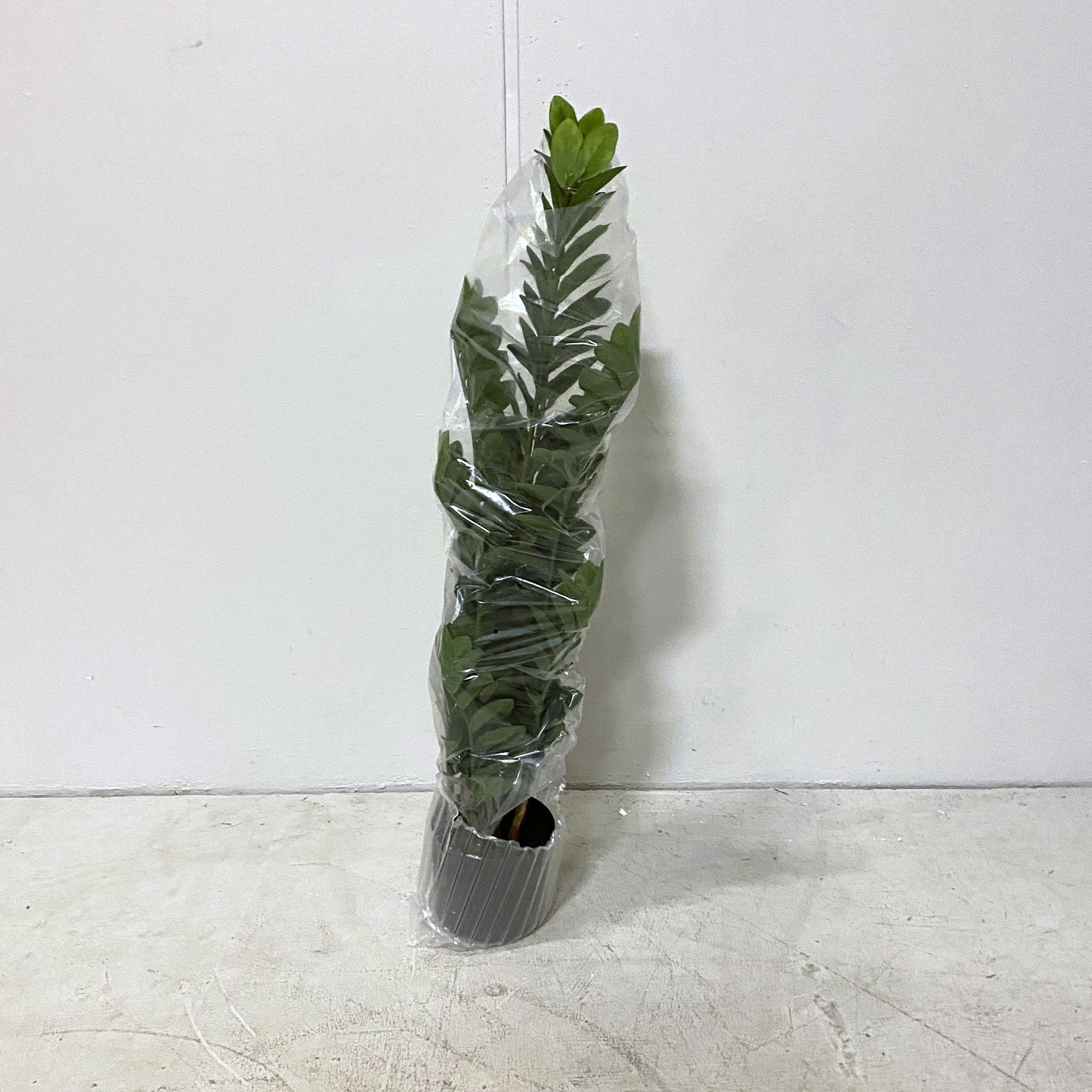 47" Artificial Potted Plant