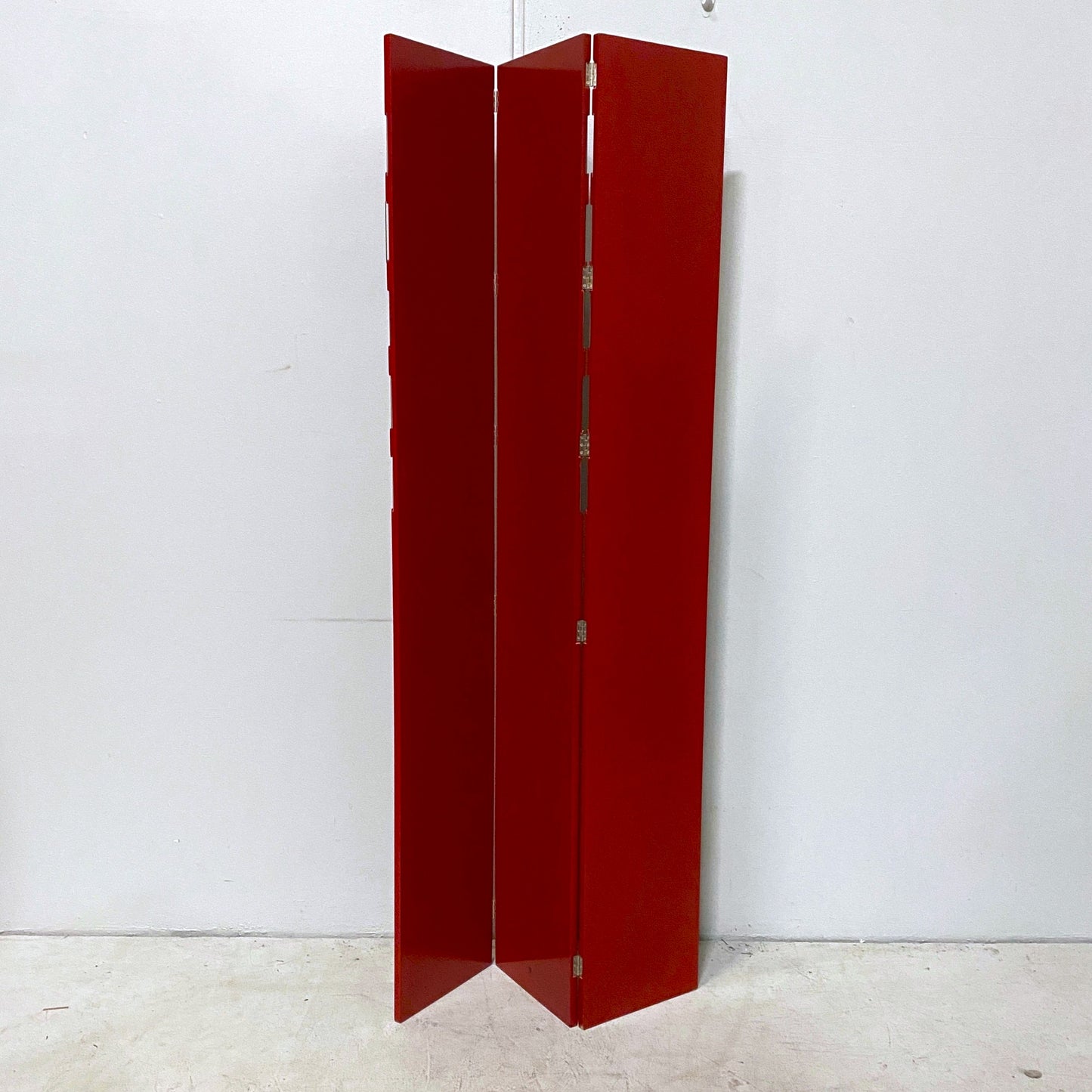 Tri-Fold Metal Photo Frame Room Divider