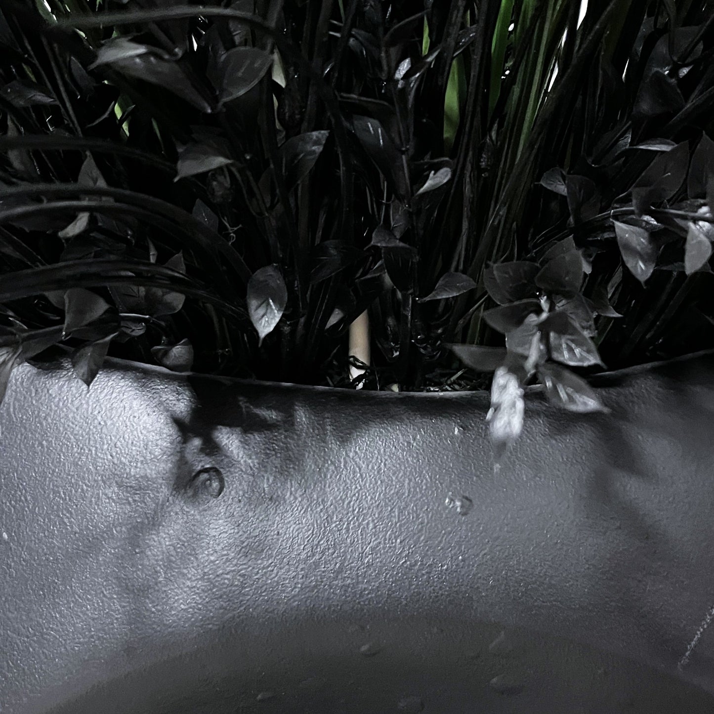 Artificial Pampas Grass in Vase