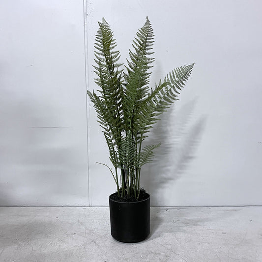 5ft Artificial Fern