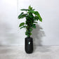 4ft Artificial Potted Plant