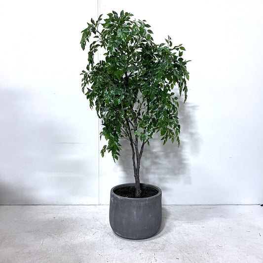 6ft Artificial Ficus Tree