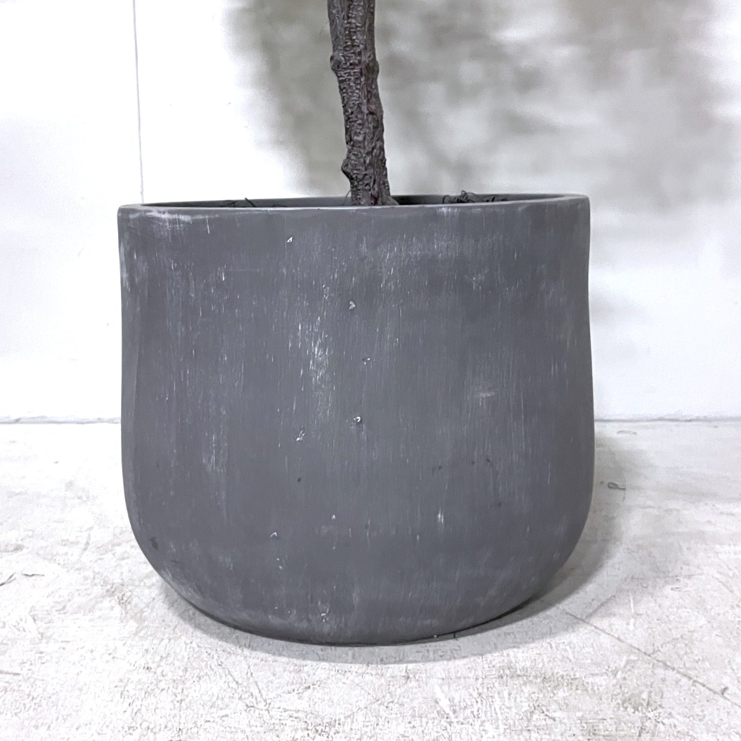 6ft Artificial Ficus Tree