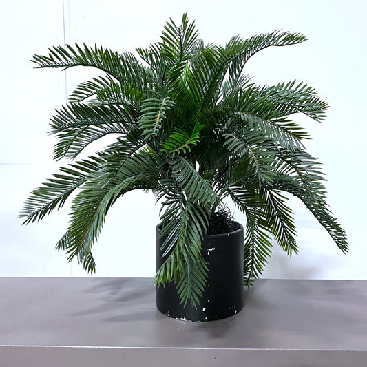 Artificial Cycas Plant