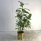 Dieffenbachia Artificial Plant