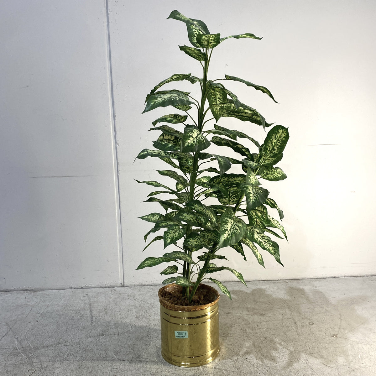 Dieffenbachia Artificial Plant