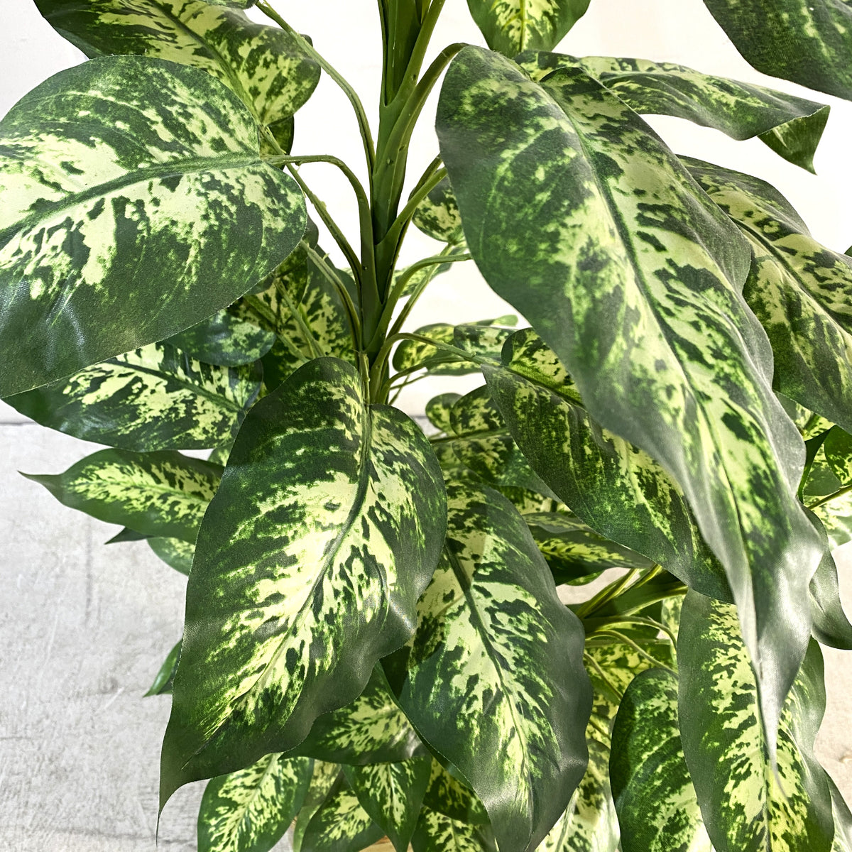 Dieffenbachia Artificial Plant