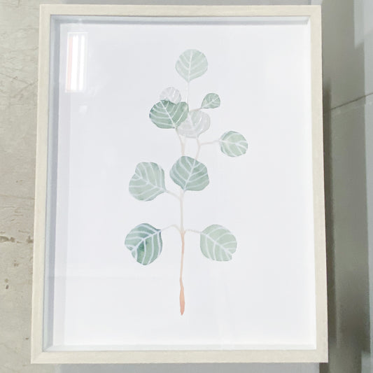 Soft Eucalyptus in Wall Art