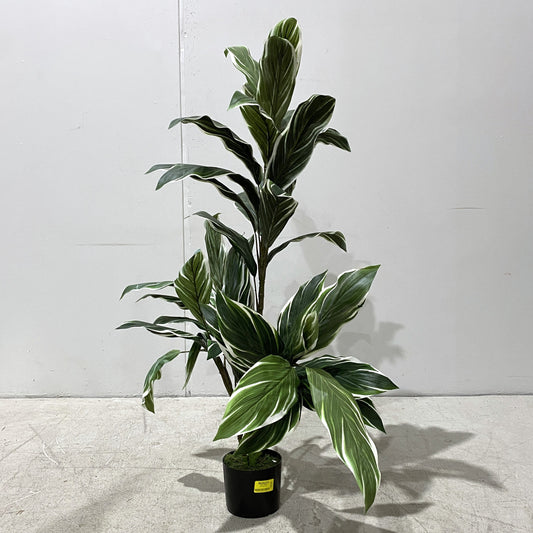 Artificial Cordyline Plant