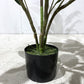 Artificial Cordyline Plant