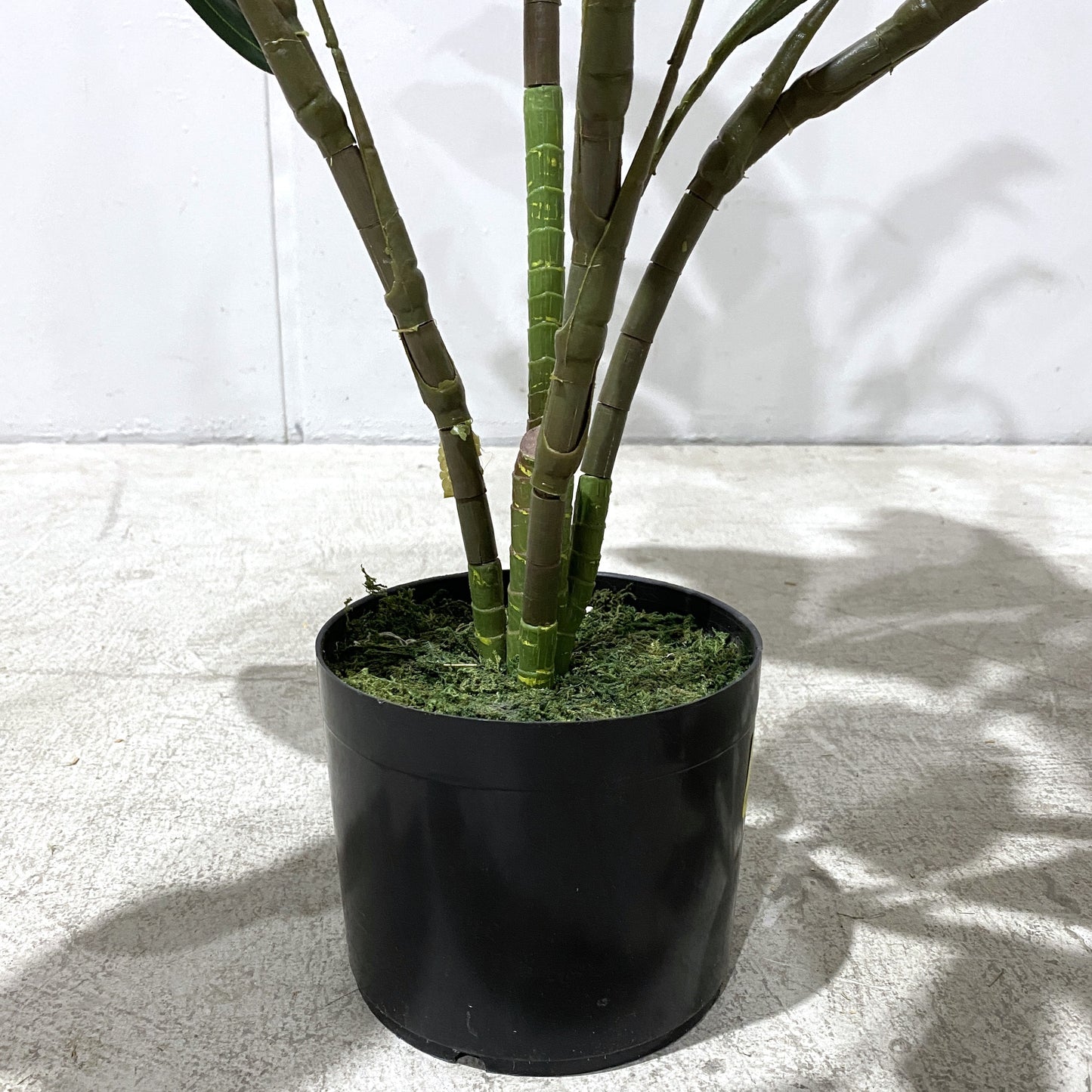 Artificial Cordyline Plant