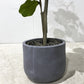 Fiddle Leaf Artificial Plant