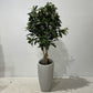 79-Inch Artificial Plant