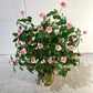 Pink Rose Artificial Potted Plant