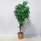 6ft. Artificial Potted Tree