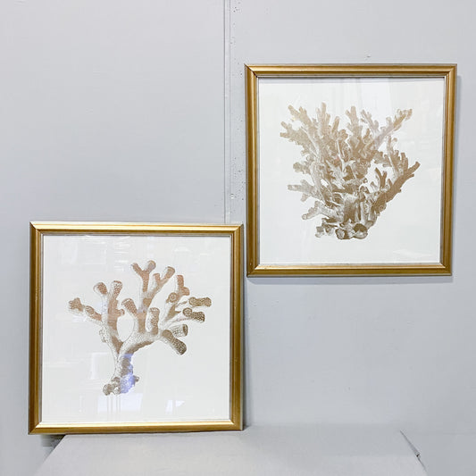 Framed Coral in Gold Artwork (Set of 2)