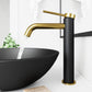 Vigo Lexington Matte black and Gold Bathroom Faucet