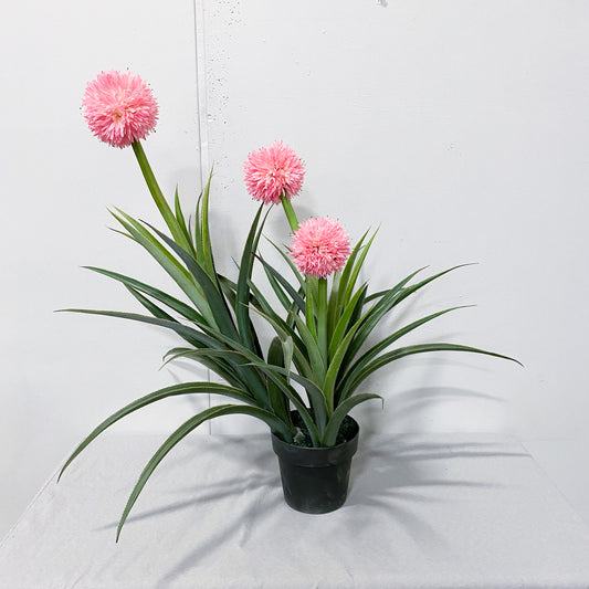 37"- Artificial Pink Reed Pampas Bonsai Plant- 3 flowers