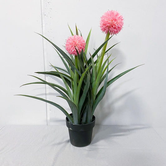 33"- Artificial Pink Reed Pampas Bonsai Plant- 2 flowers