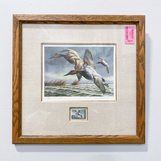 16" x 16" Framed Duck Stamp Artwork