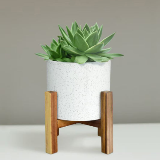 6 inch Stone Planter with Wood Stand