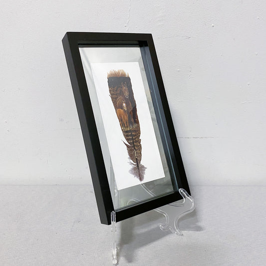 Painted Feather in Frame