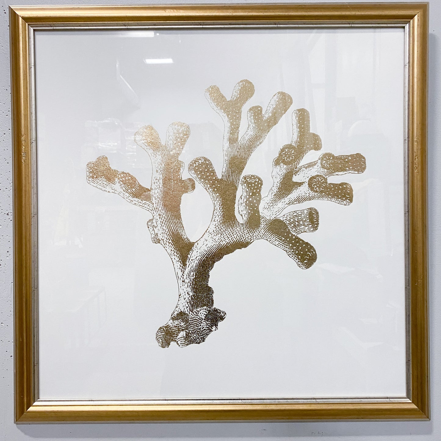 Framed Coral in Gold Artwork (Set of 2)