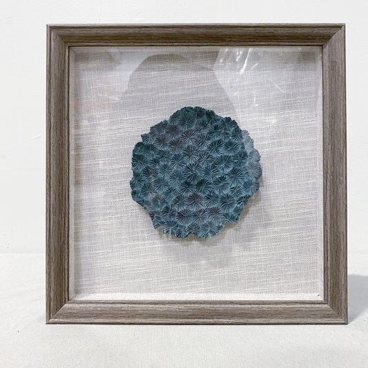 12" x 12" Framed Coral Artwork