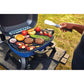 Portable Gas Grill
