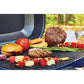 Portable Gas Grill