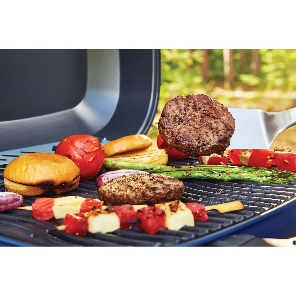 Portable Gas Grill