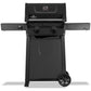 2 Burner Natural Gas BBQ Grill