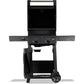 2 Burner Natural Gas BBQ Grill