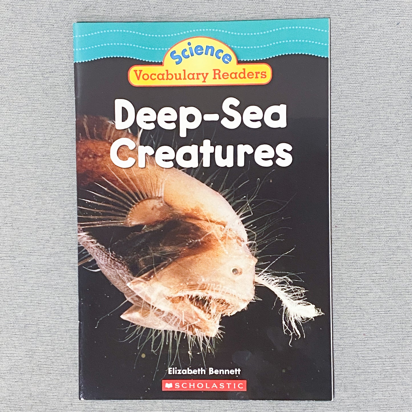 ‘Deep Sea Creatures’ Kids Book