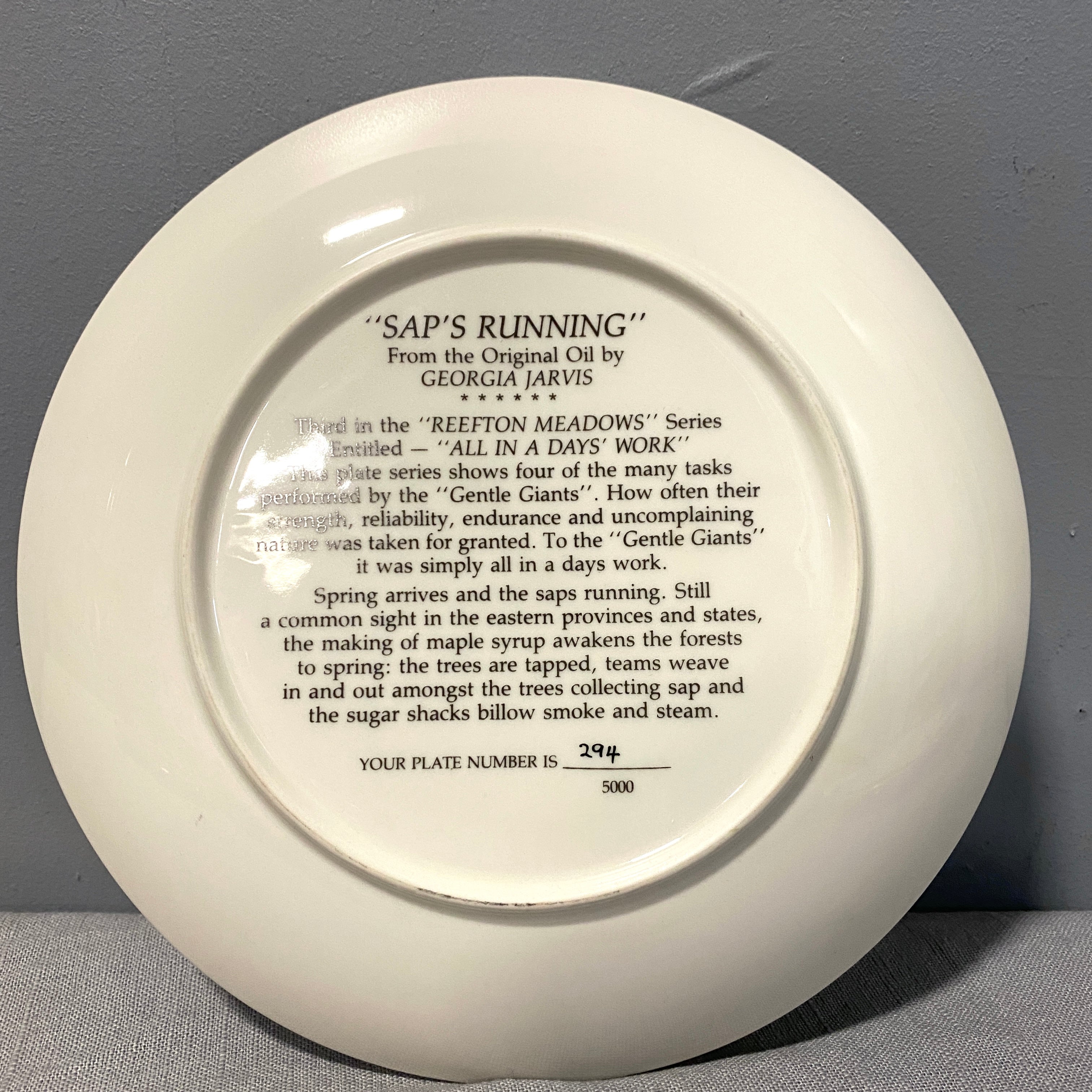 Assorted Porcelain Collector Plates – Habitat ReStore eStore