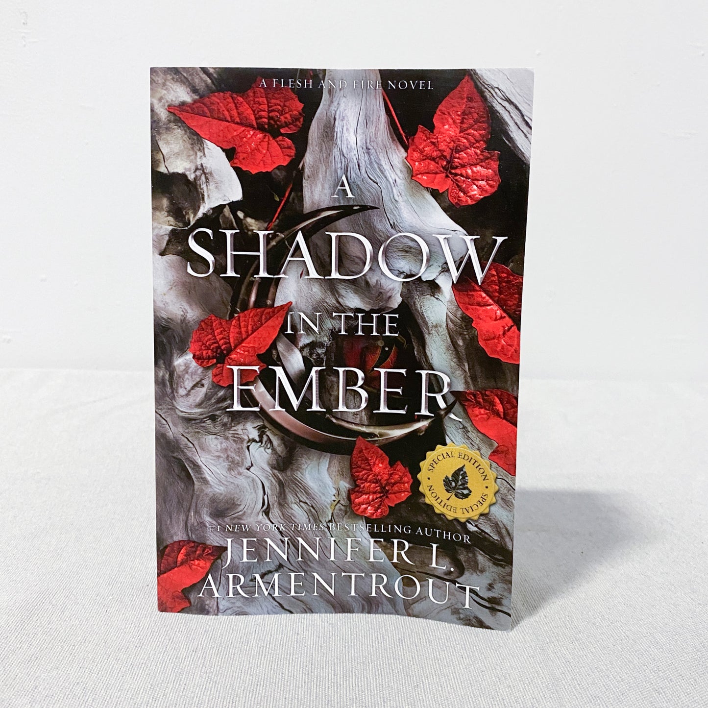 'A Shadow In The Ember' Novel
