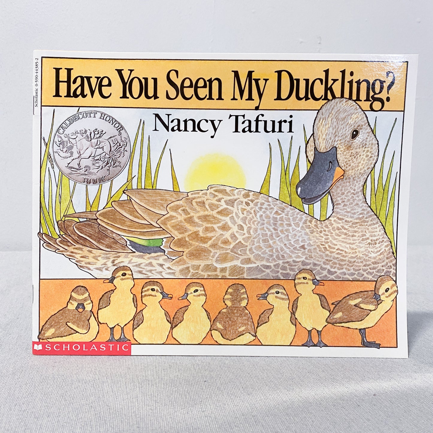 ‘Have You Seen My Duckling?’ Kids Book