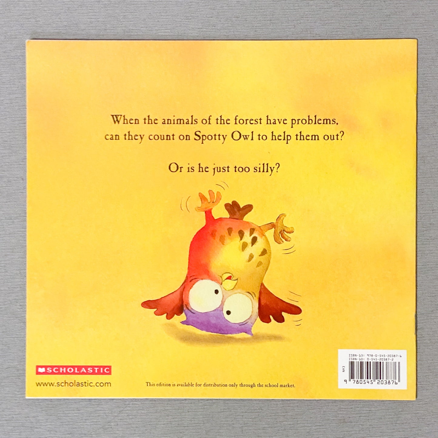 ‘Wise Up Silly Owl’ Kids Book
