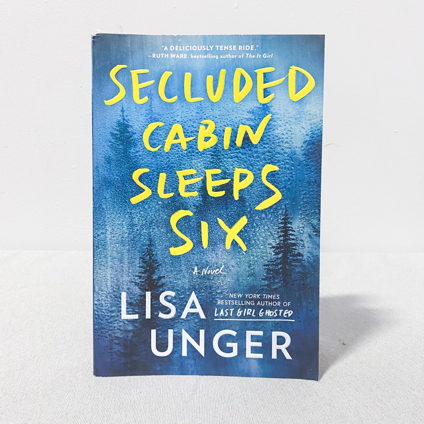 'Secluded Cabin Sleeps Six' Novel