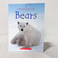 ‘Bears’ Kids Book