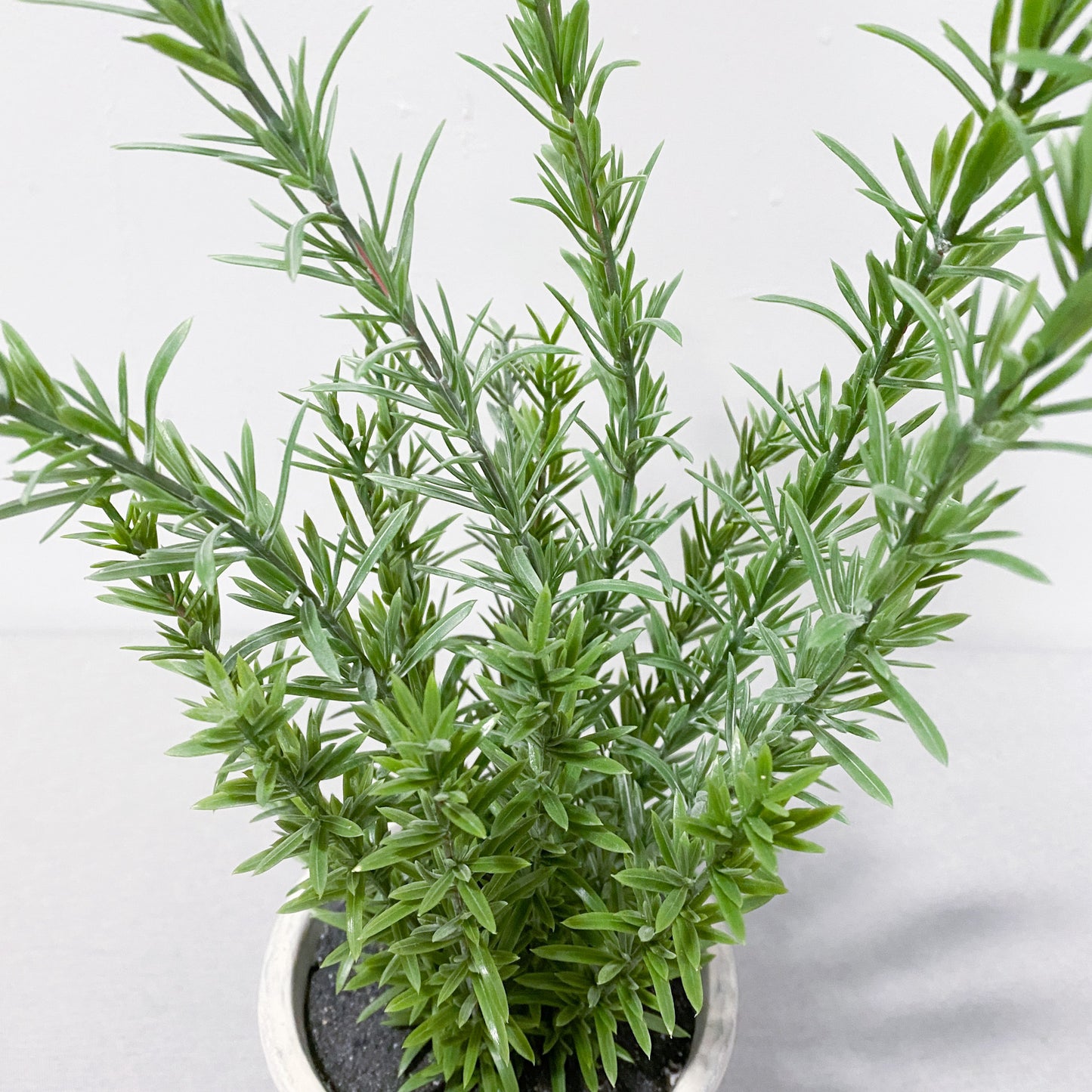 Artificial Plant - Rosemary