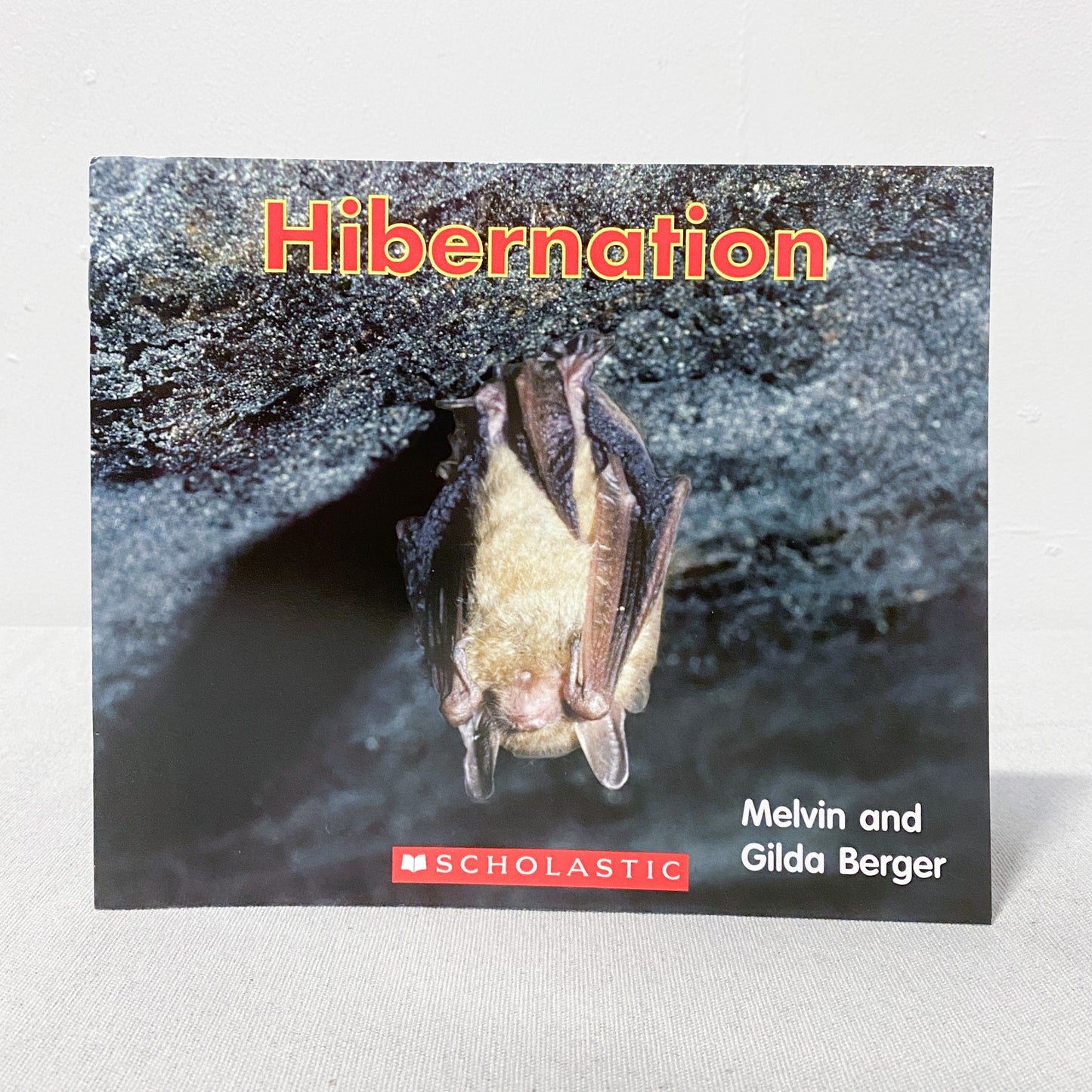 ‘Hibernation’ Kids Book