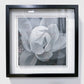 17" x 17" Framed Floral Artwork